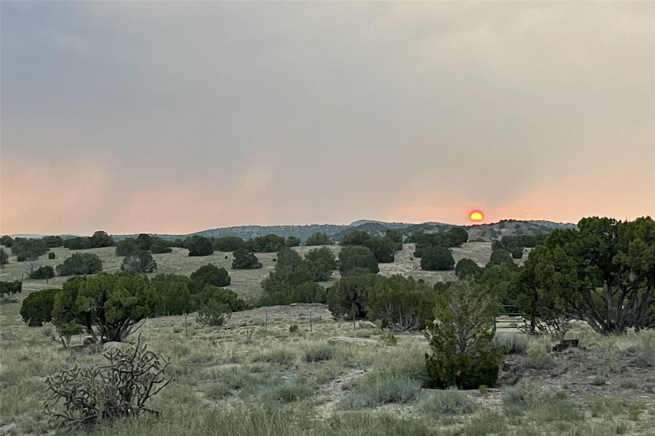 794 Camino Los Abuelos, Galisteo, New Mexico image 28