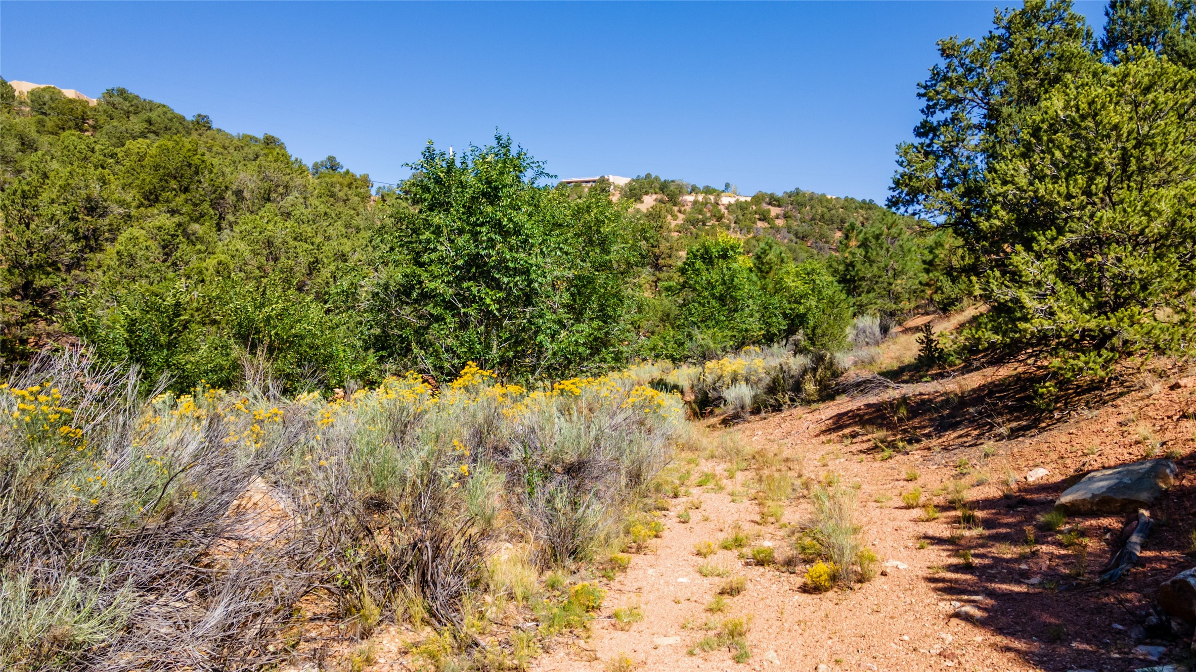 1200 Horsethief Canyon, Santa Fe, New Mexico image 4