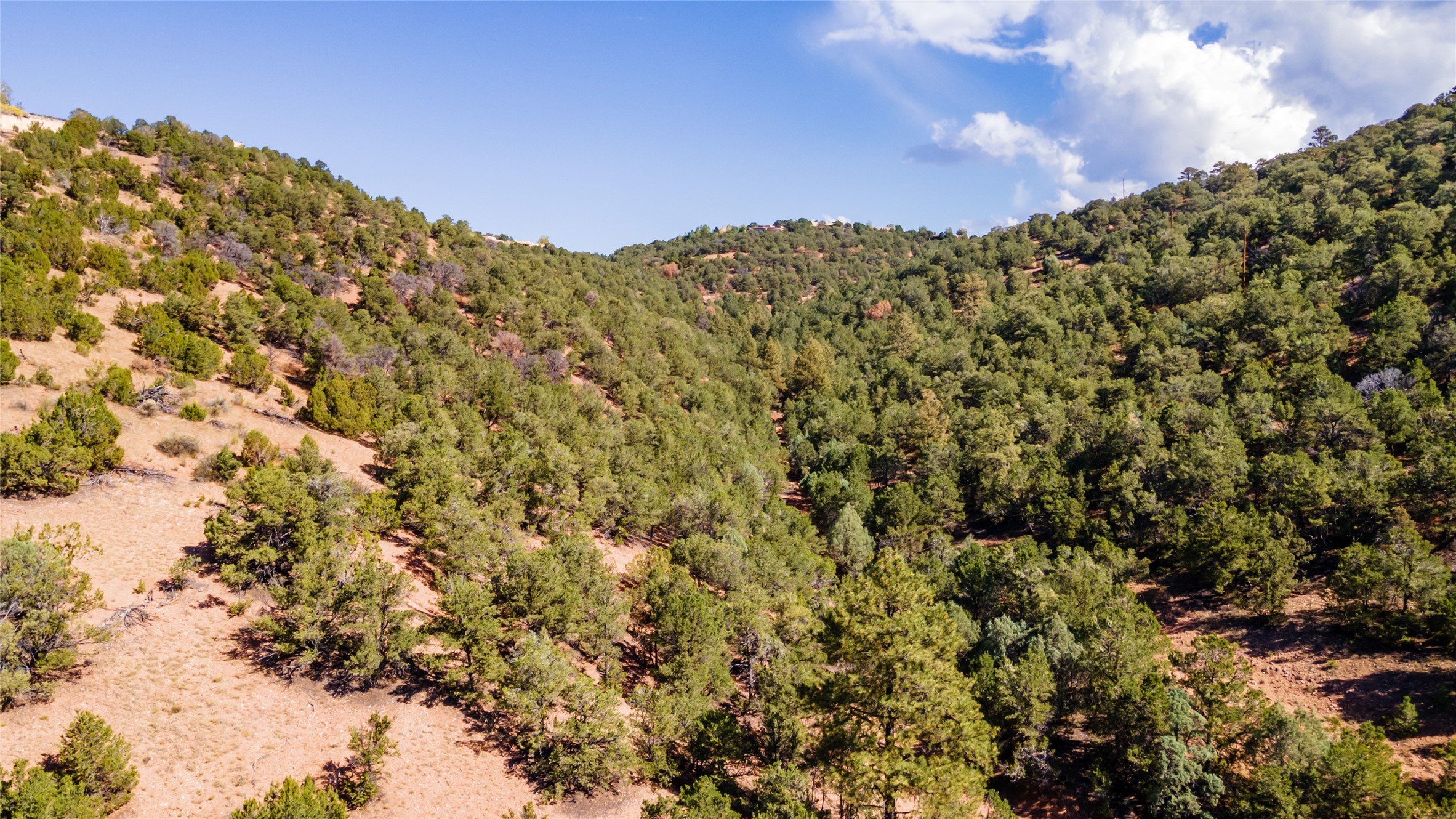 1200 Horsethief Canyon, Santa Fe, New Mexico image 9