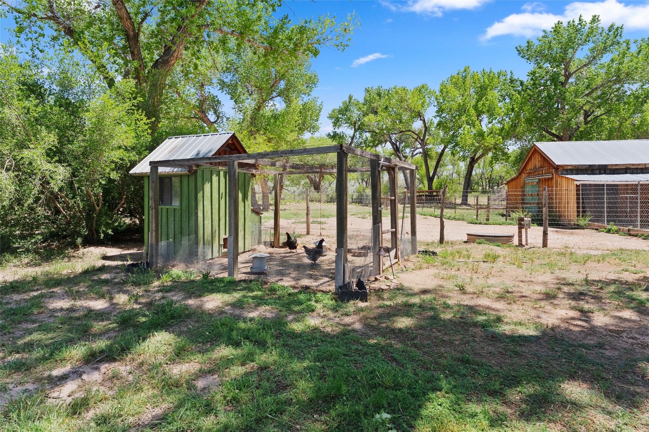 71 County Road 155, Abiquiu, New Mexico image 41