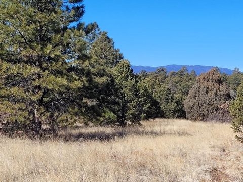 Vacant Land For Sale - 59 Silver Feather Trail<br/> Pecos, NM 87552