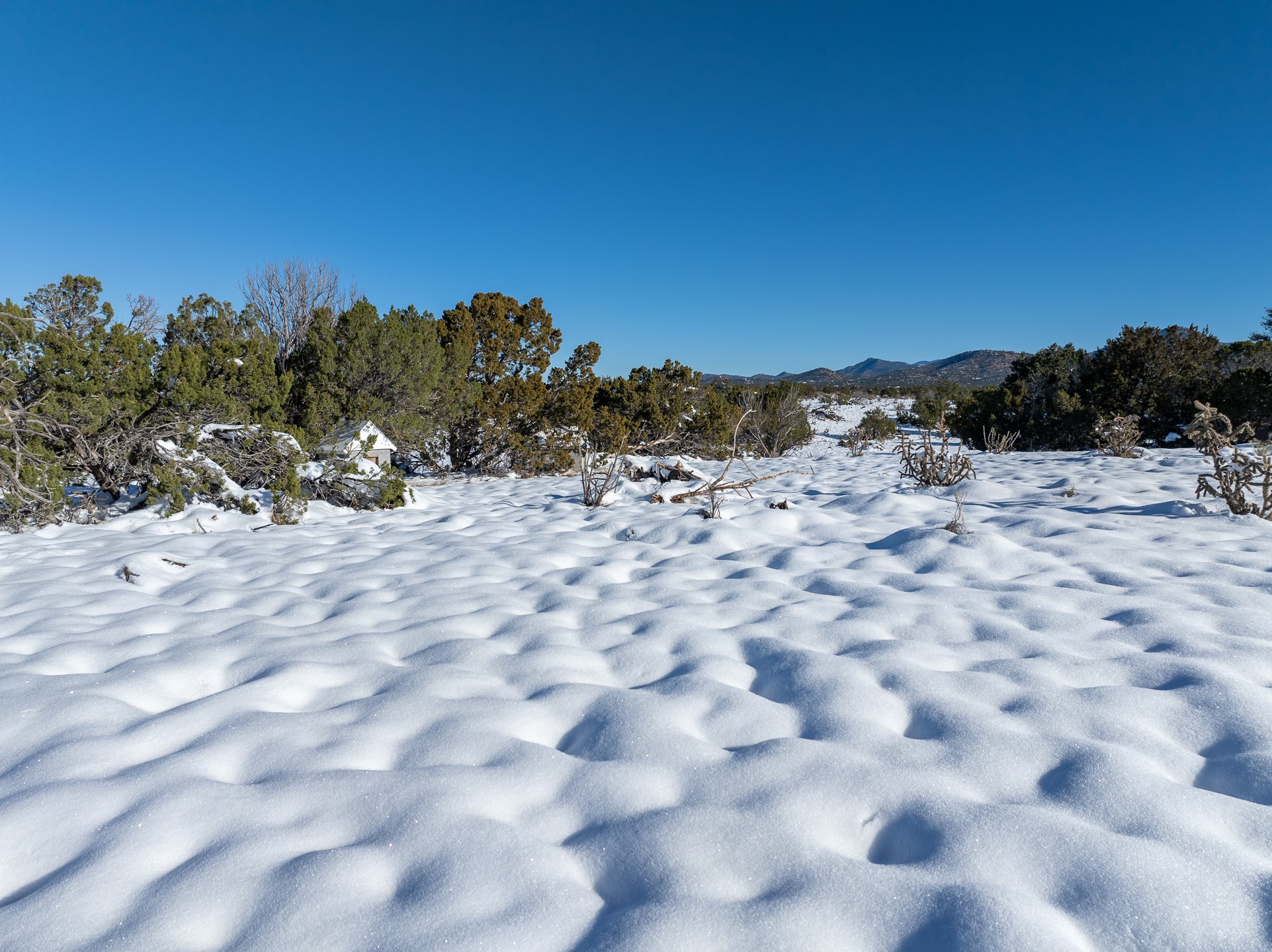 16 Fonda Court, Santa Fe, New Mexico image 17