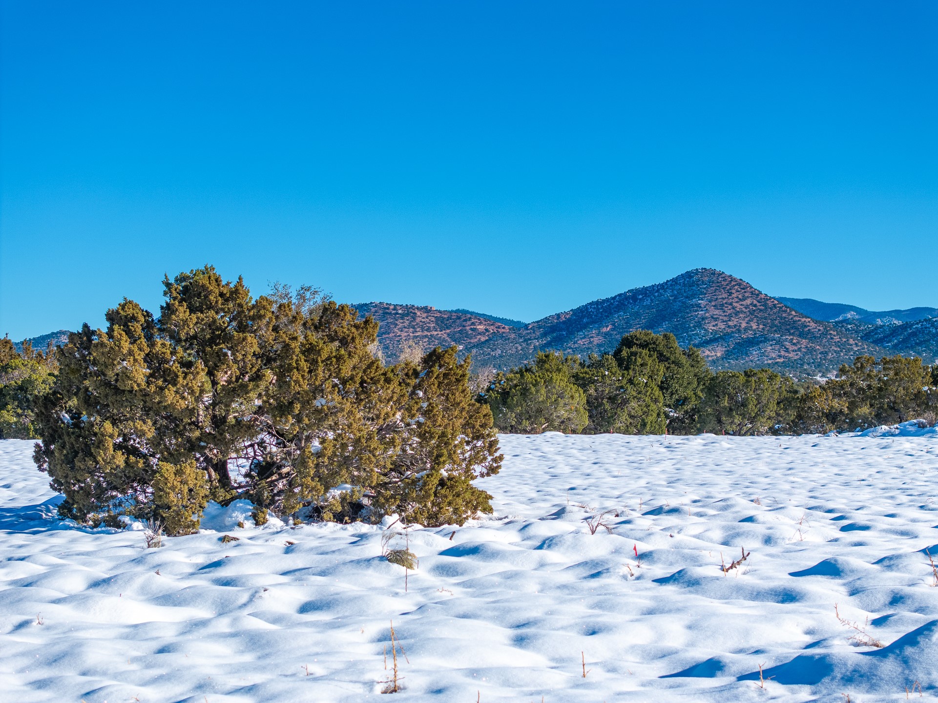 16 Fonda Court, Santa Fe, New Mexico image 4