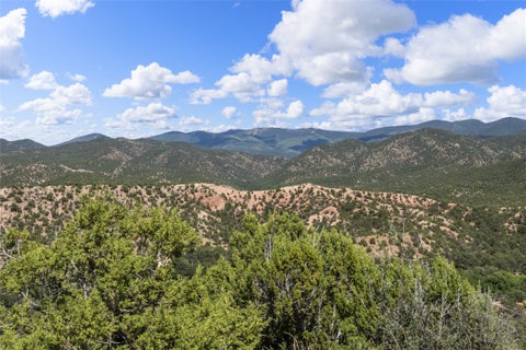 Featured picture for the property 202500359