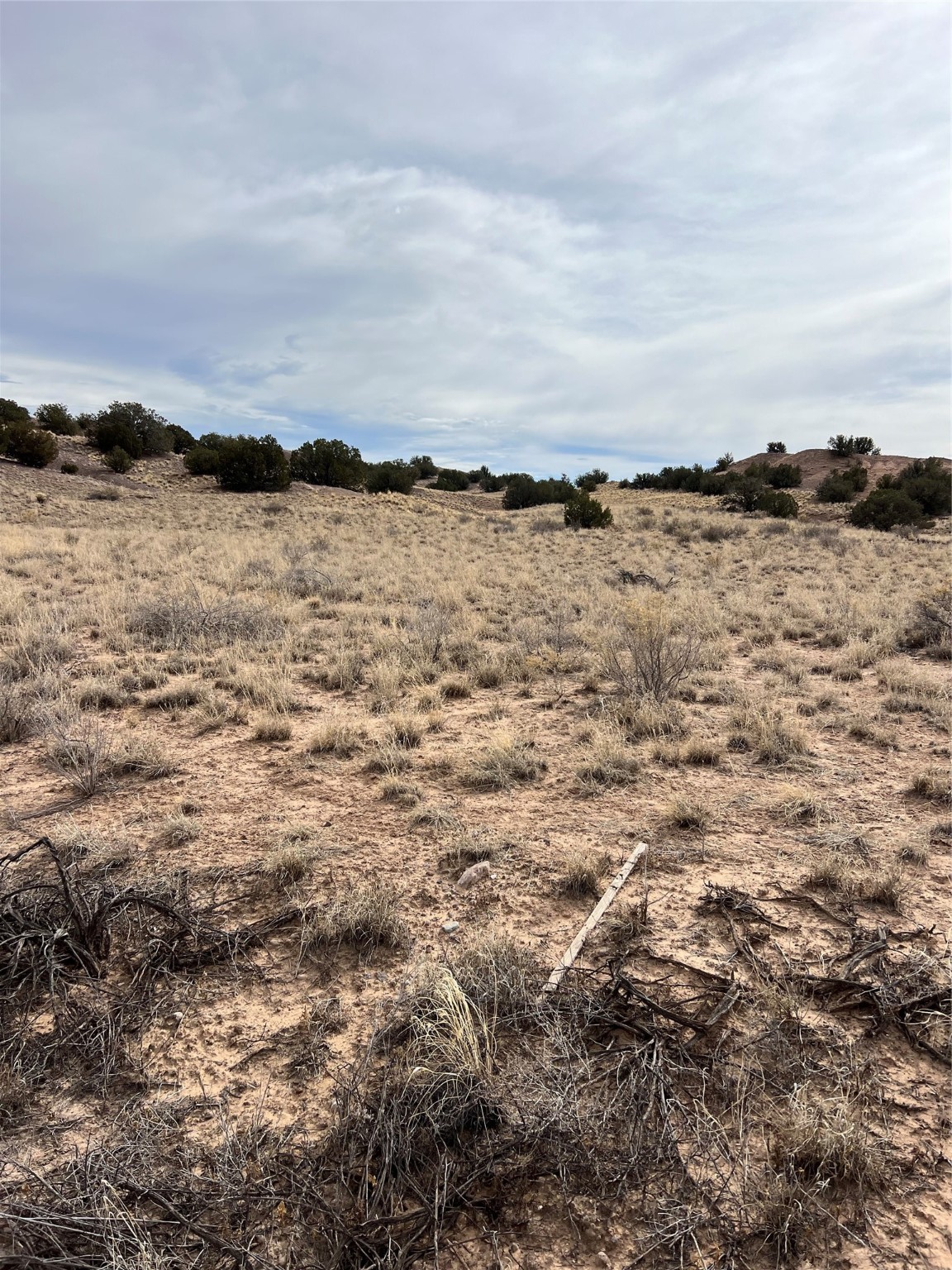 Green Meadow Lots 1-18, Abiquiu, New Mexico image 31