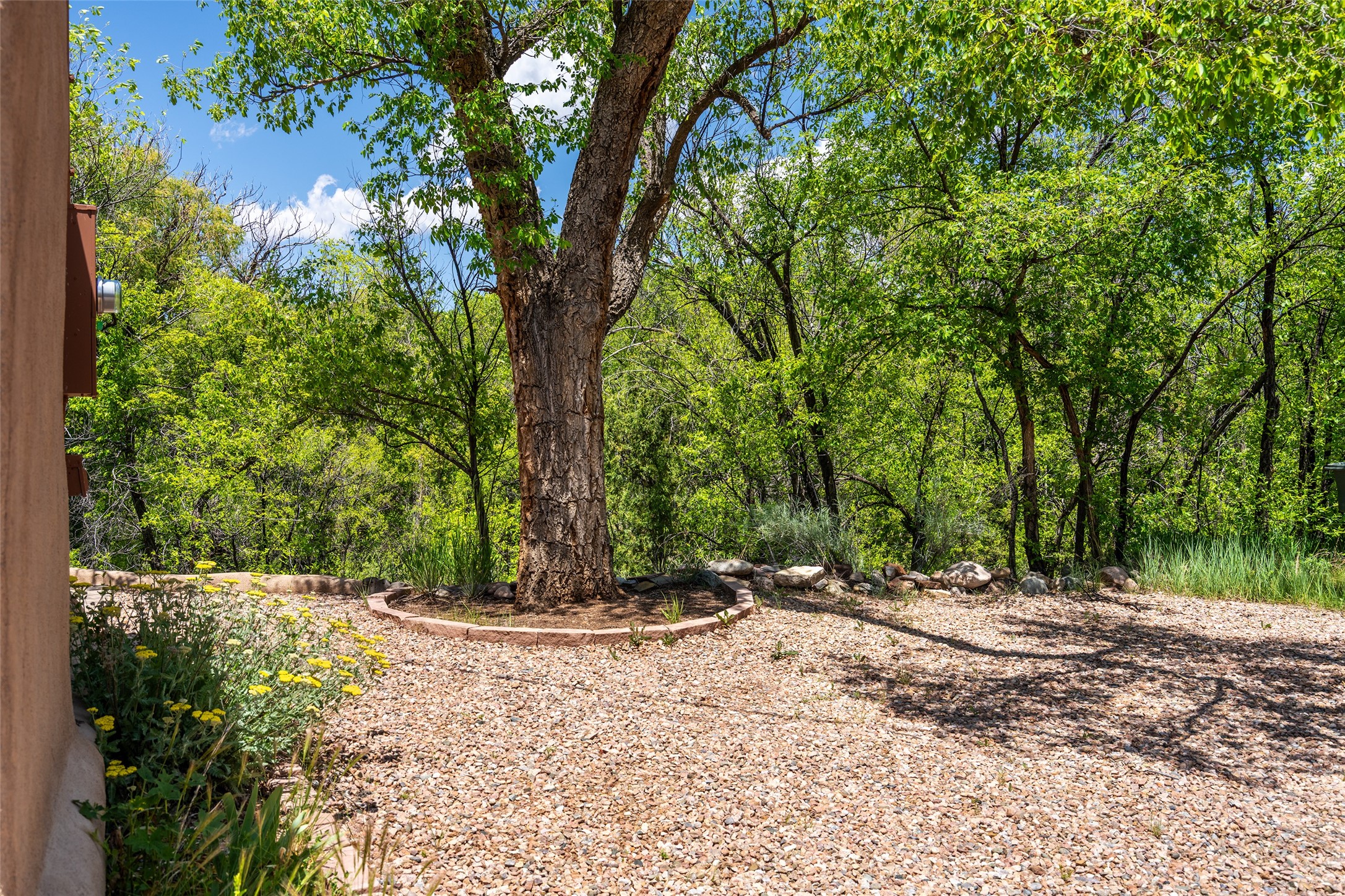 1489 Canyon Road, Santa Fe, New Mexico image 5