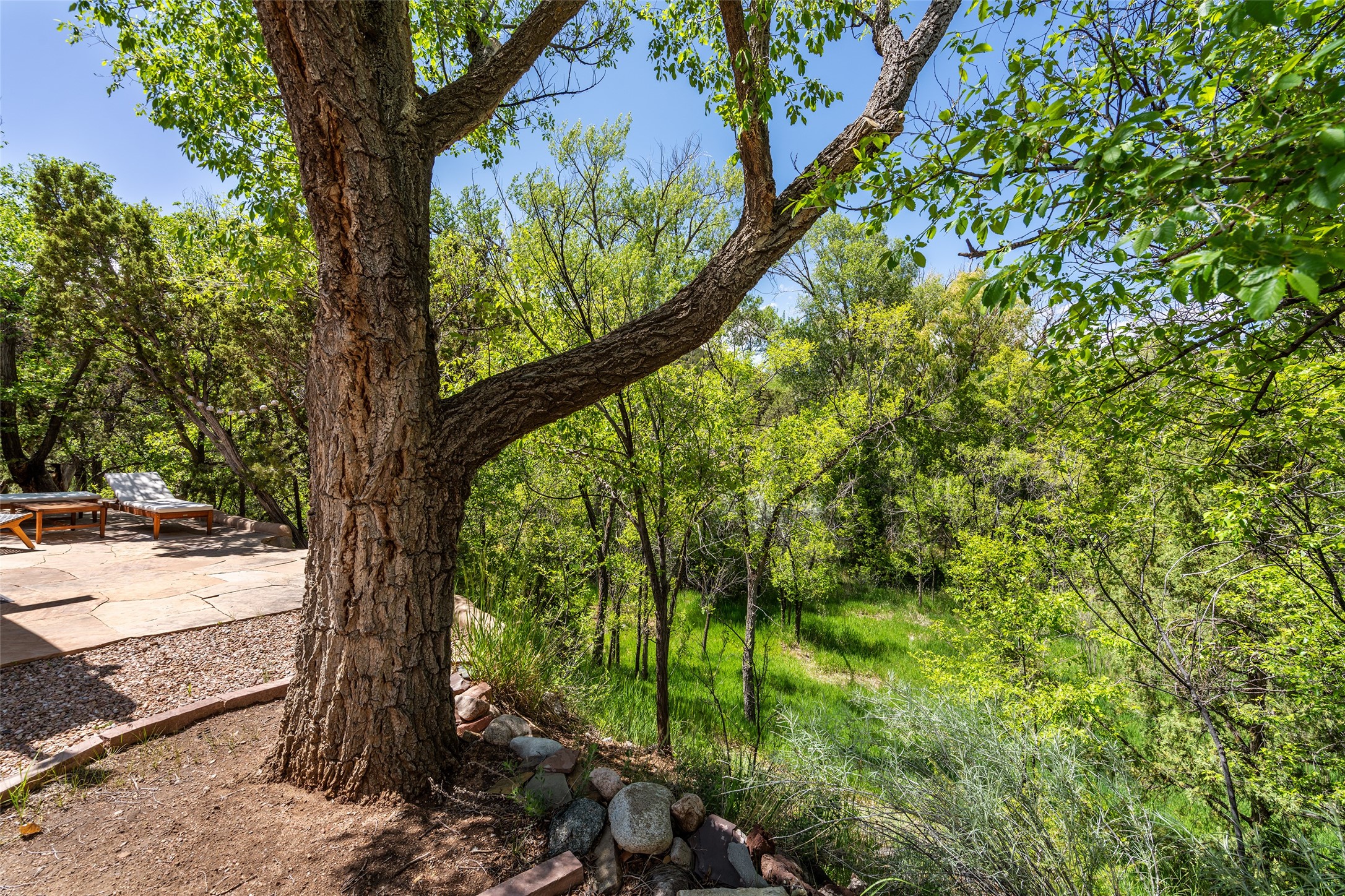 1489 Canyon Road, Santa Fe, New Mexico image 31