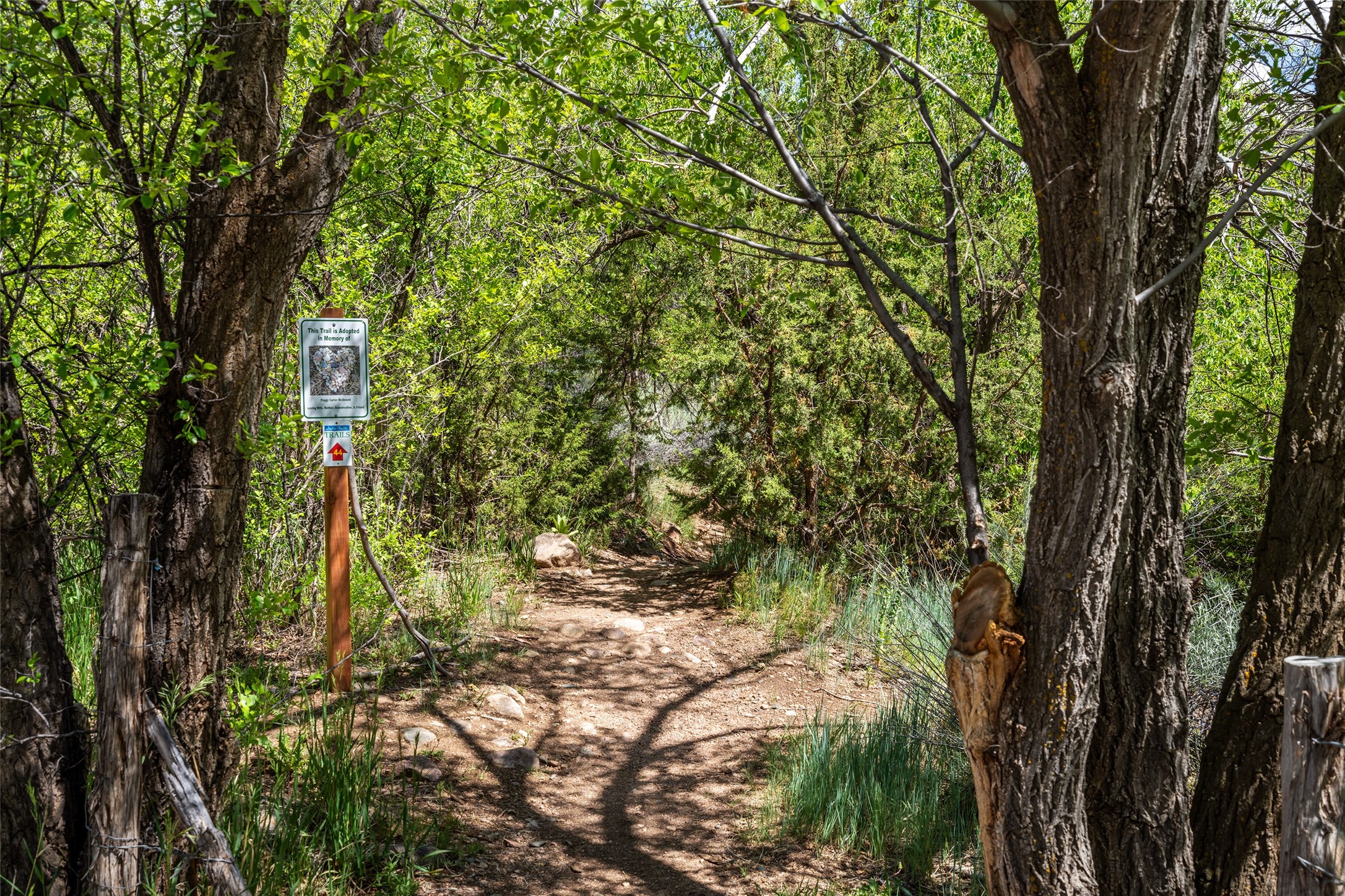 1489 Canyon Road, Santa Fe, New Mexico image 32