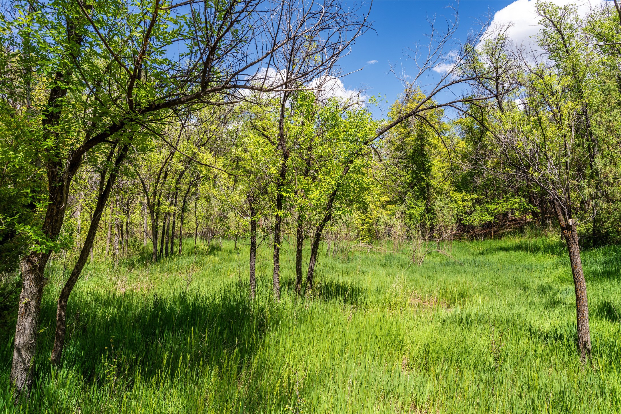 1489 Canyon Road, Santa Fe, New Mexico image 27