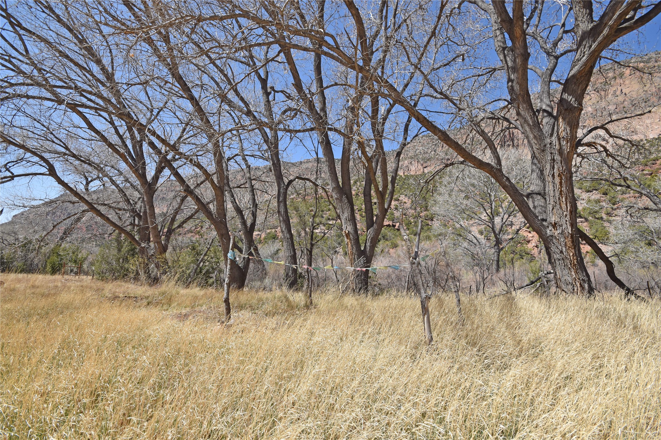 Riverfront-highway 4, Jemez Springs, New Mexico image 3