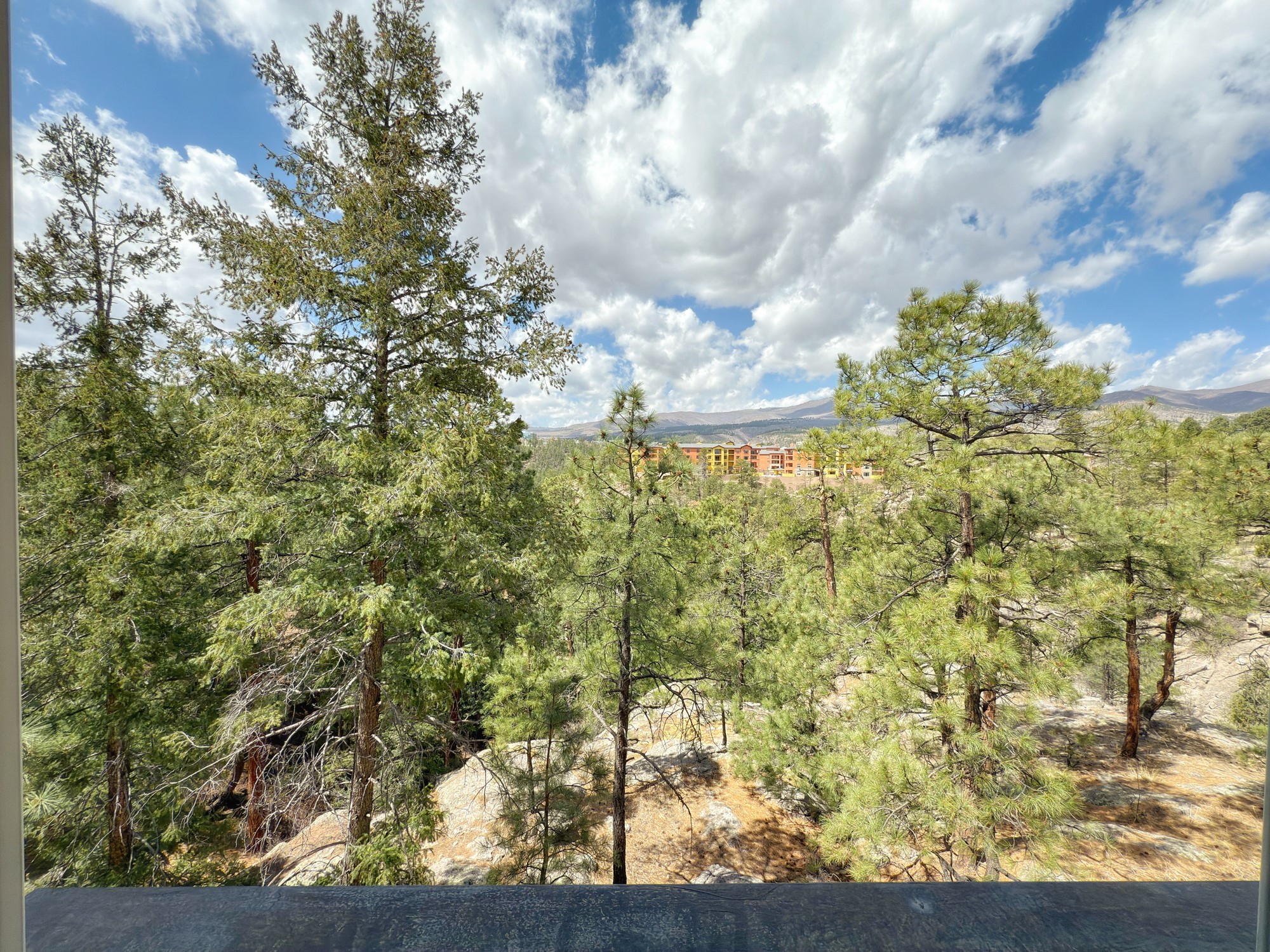 62 Canyon View Drive, Los Alamos, New Mexico image 47