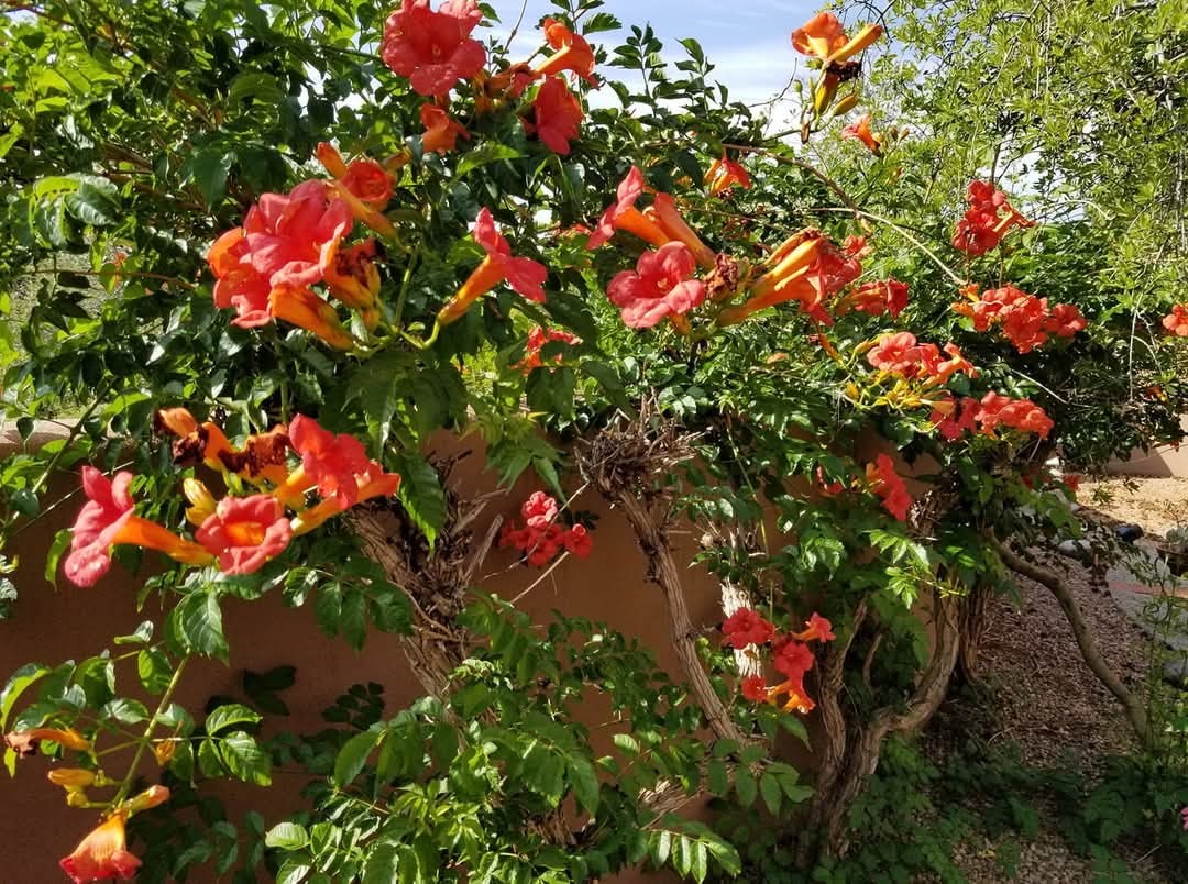 3 Camino Costadino, Santa Fe, New Mexico image 47