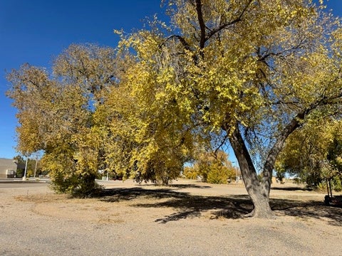 Vacant Land For Sale - 811 Route 66<br/> Moriarty, NM 87035