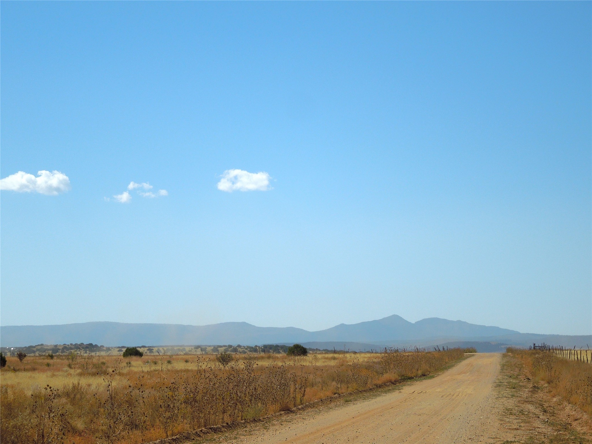 Lot 117 S, Estancia, New Mexico image 9