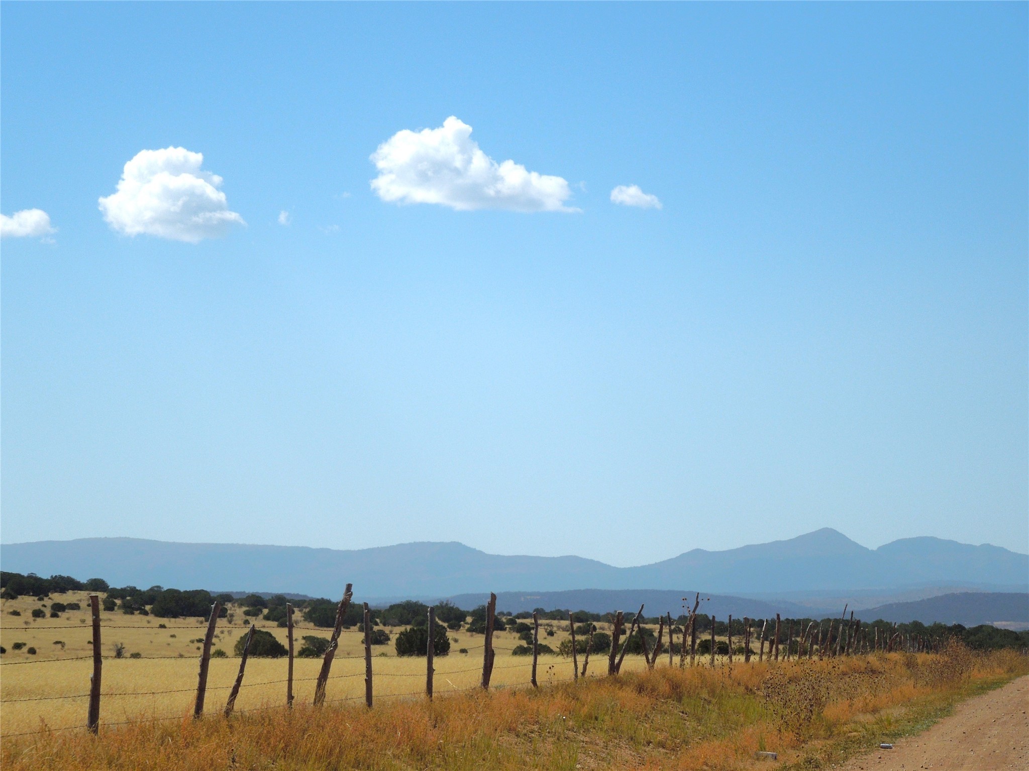 Lot 117 S, Estancia, New Mexico image 2