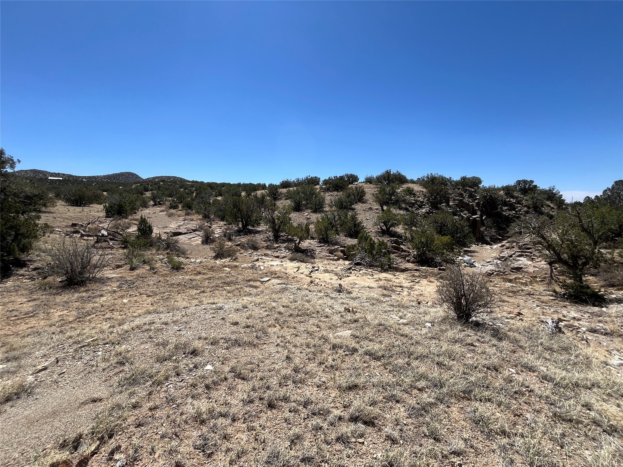 29 Trigg Trail, Cerrillos, New Mexico image 3