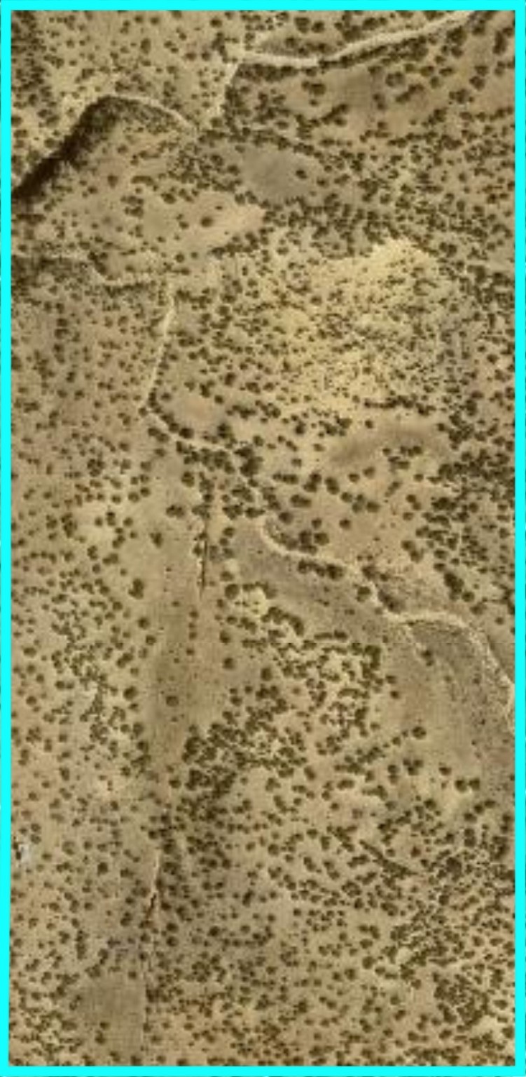 29 Trigg Trail, Cerrillos, New Mexico image 4