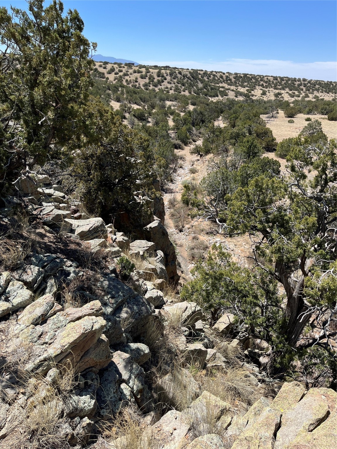 29 Trigg Trail, Cerrillos, New Mexico image 2