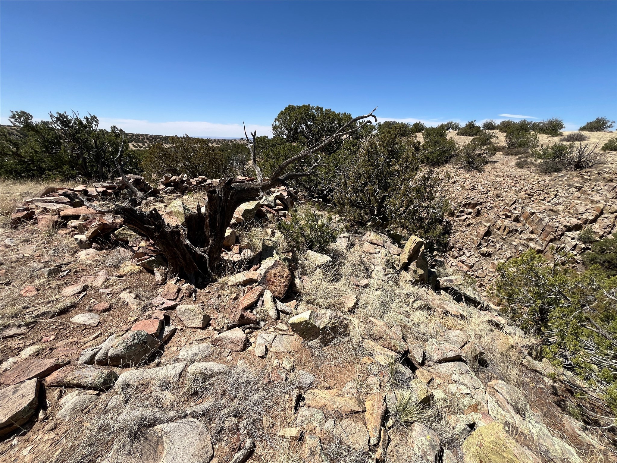 29 Trigg Trail, Cerrillos, New Mexico image 1