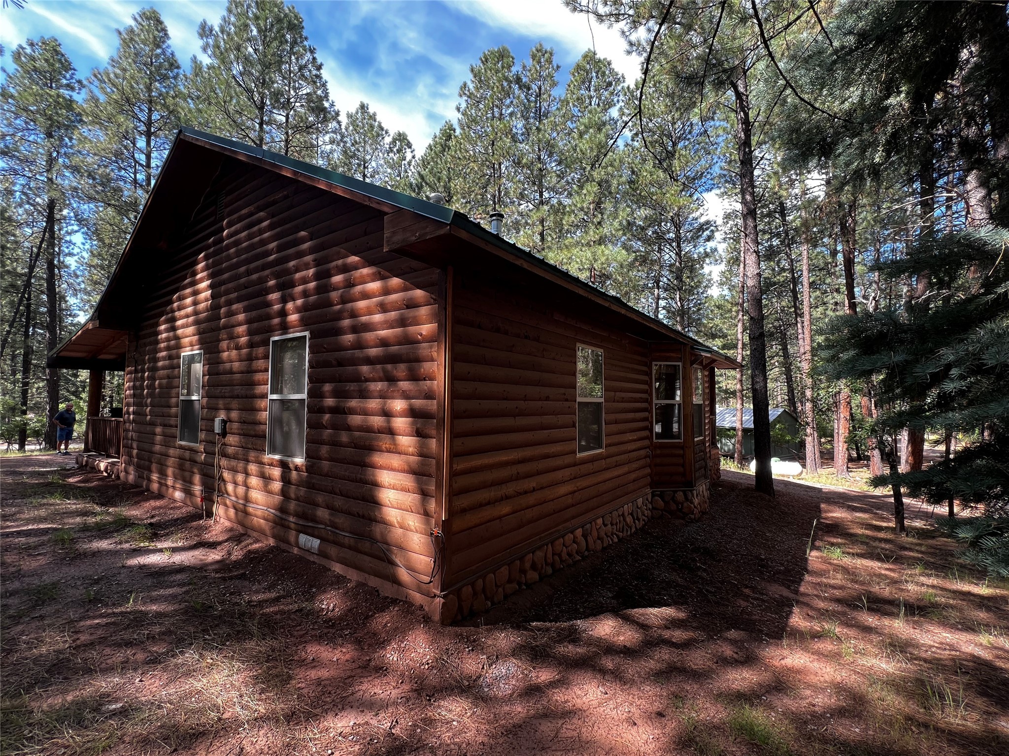 34 Tall Pine, Chama, New Mexico image 10