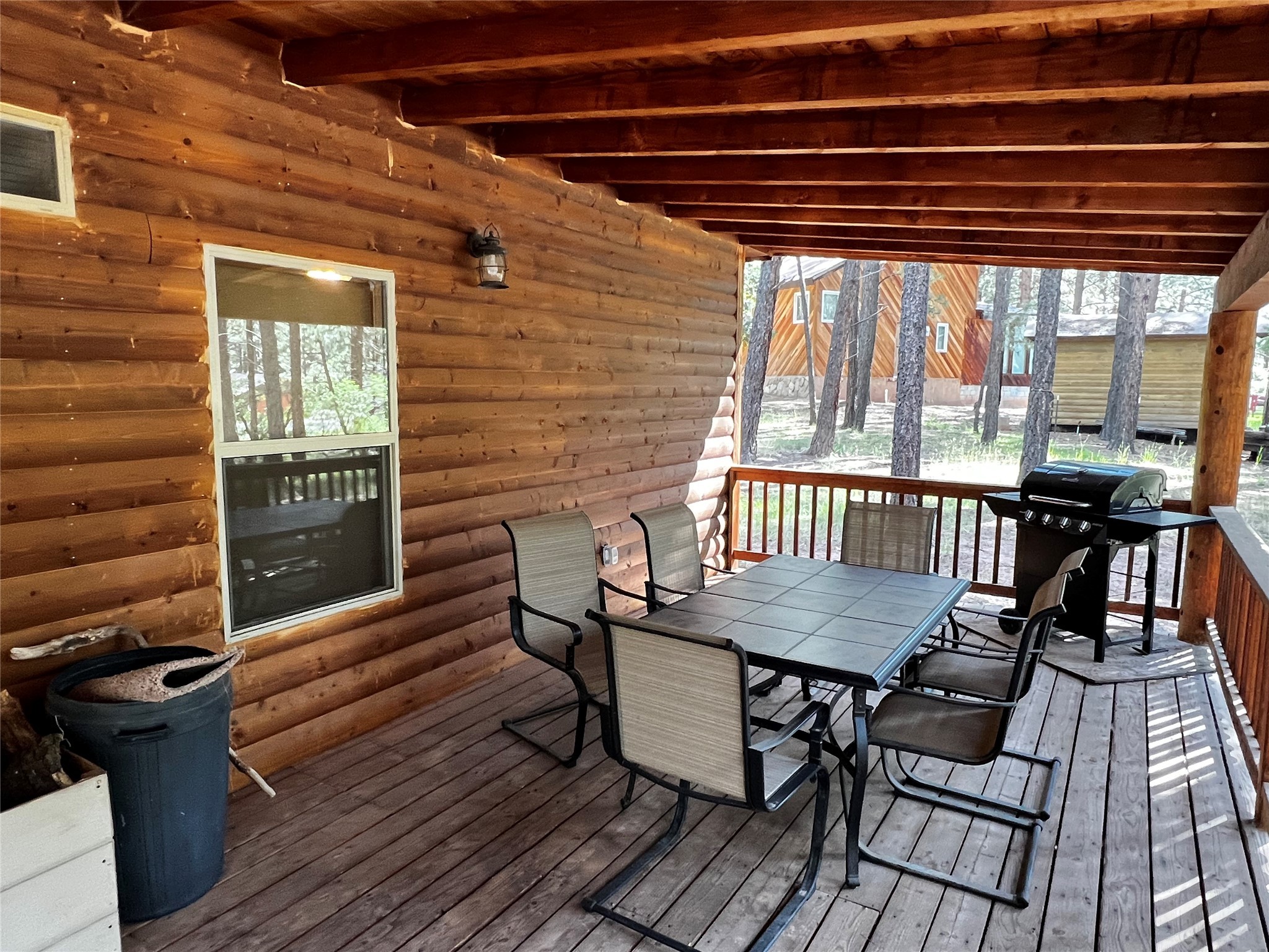 34 Tall Pine, Chama, New Mexico image 11