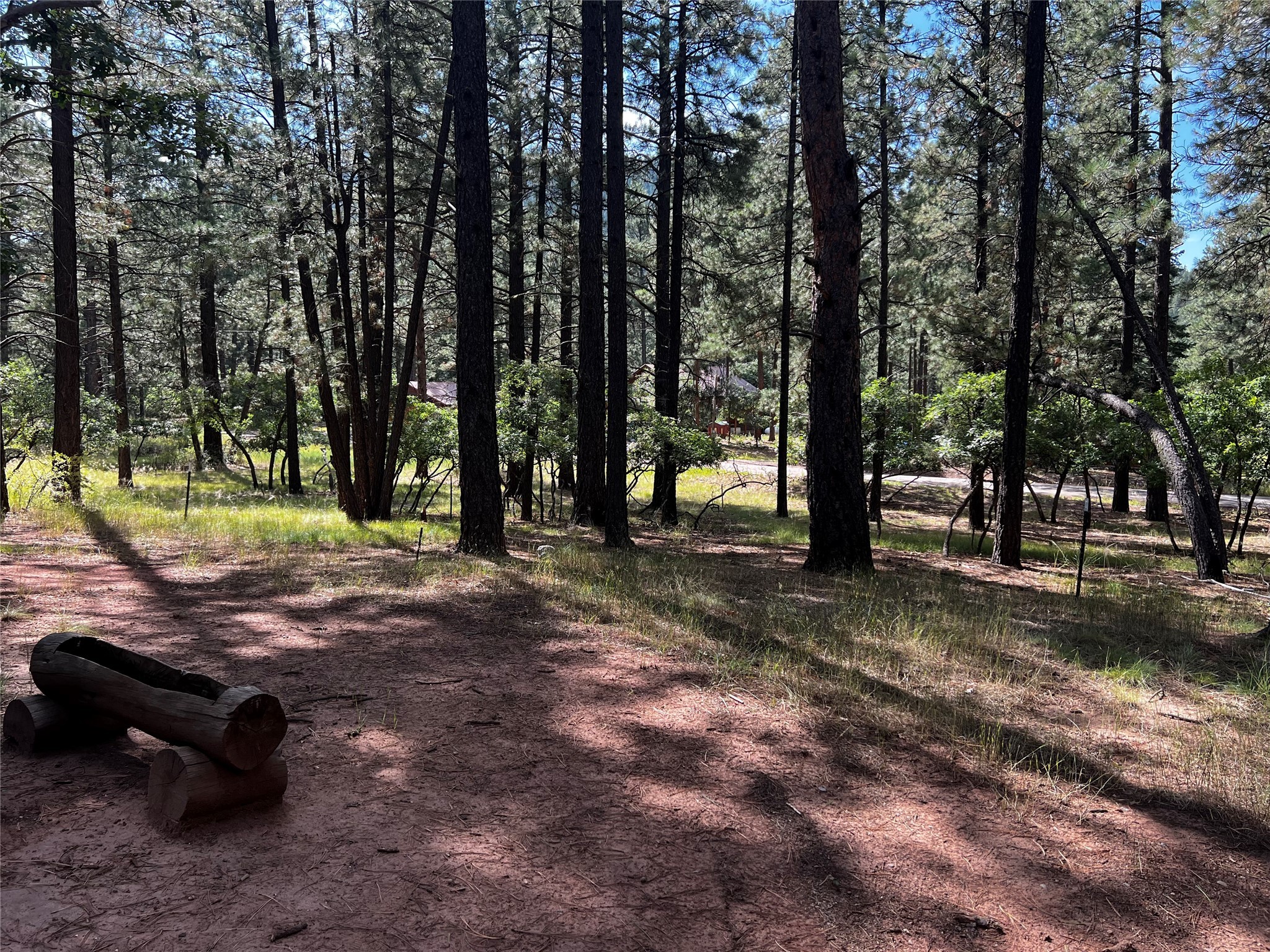 34 Tall Pine, Chama, New Mexico image 7