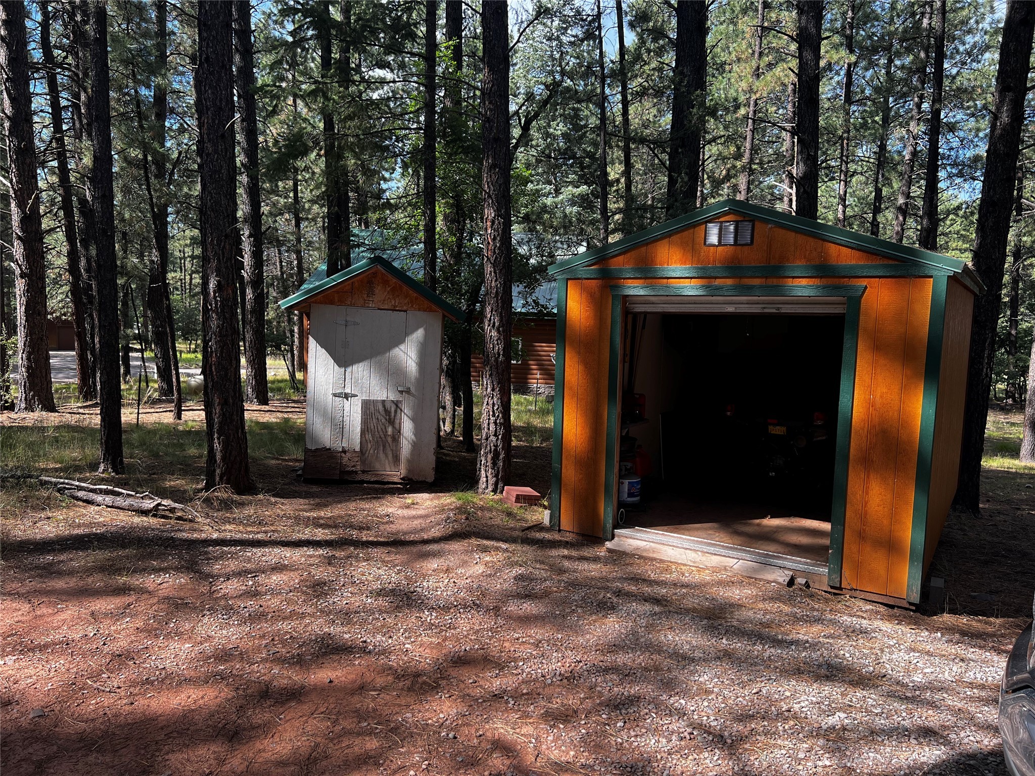 34 Tall Pine, Chama, New Mexico image 2