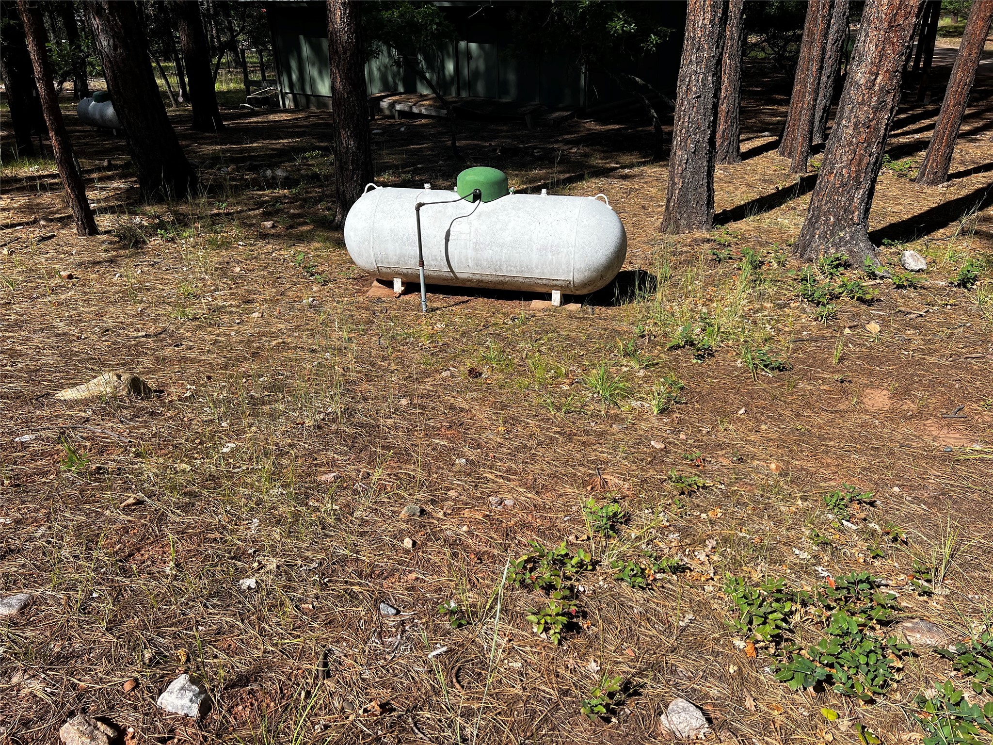 34 Tall Pine, Chama, New Mexico image 4