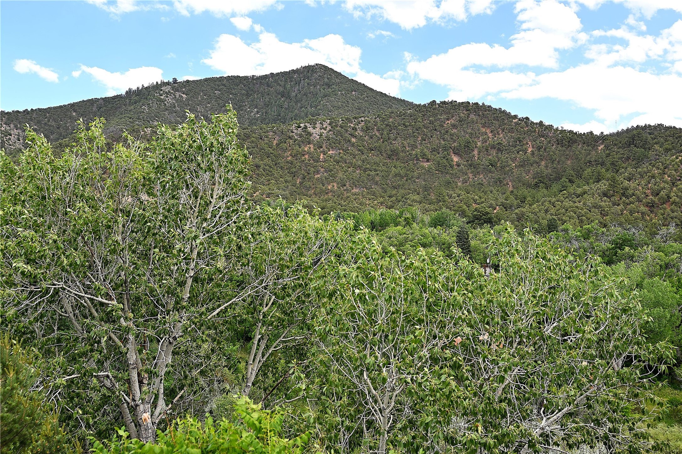 1678 & 1682 Cerro Gordo Road, Santa Fe, New Mexico image 44