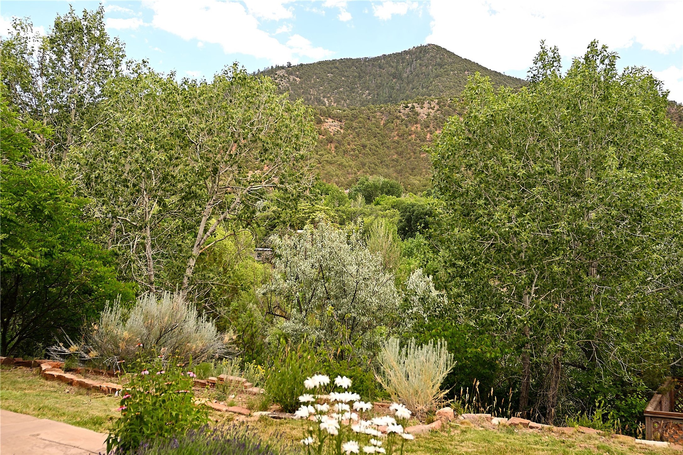 1678 & 1682 Cerro Gordo Road, Santa Fe, New Mexico image 48