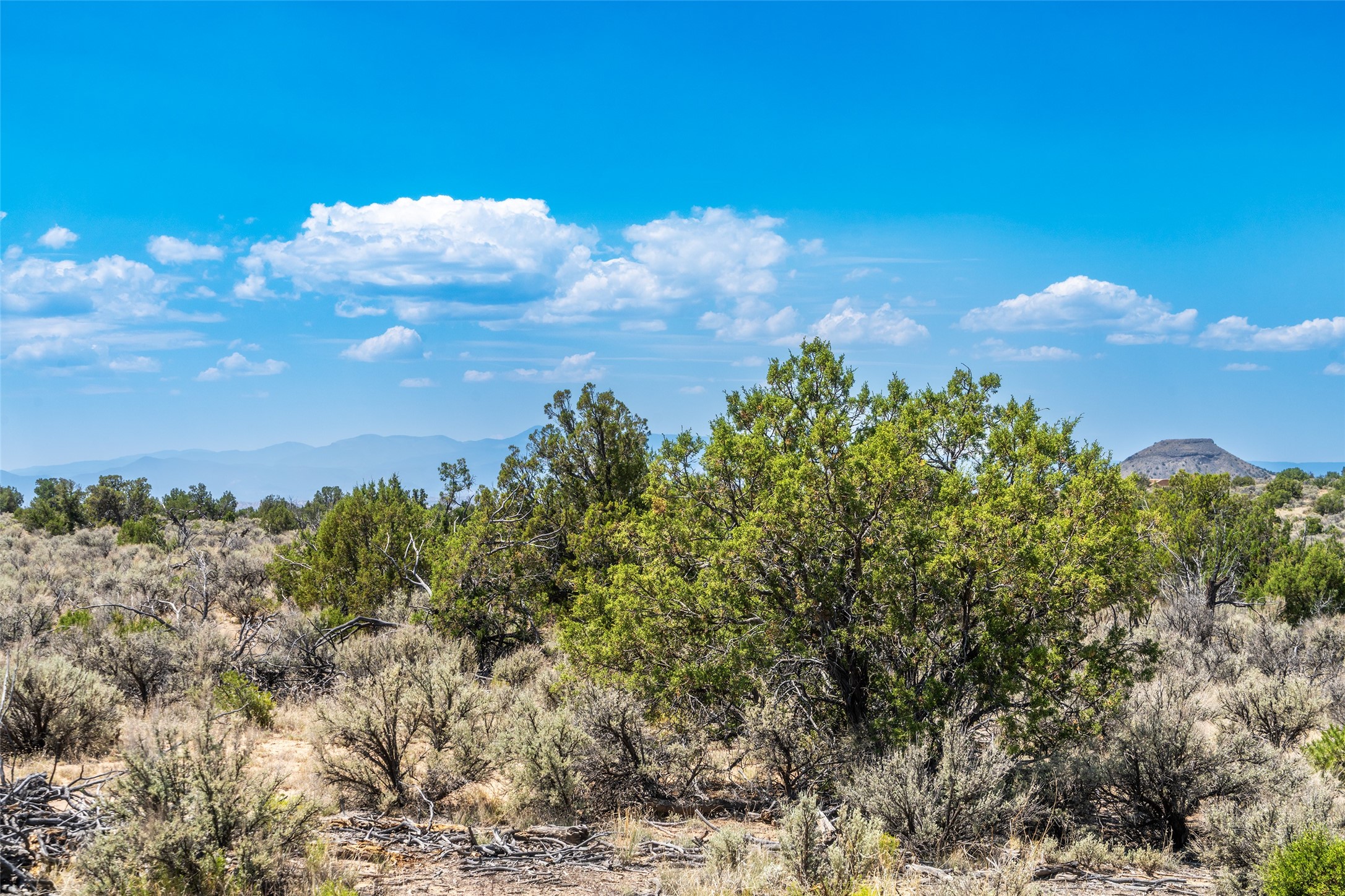 Ojo Caliente, New Mexico 87549, United States, ,Land,Active,188836