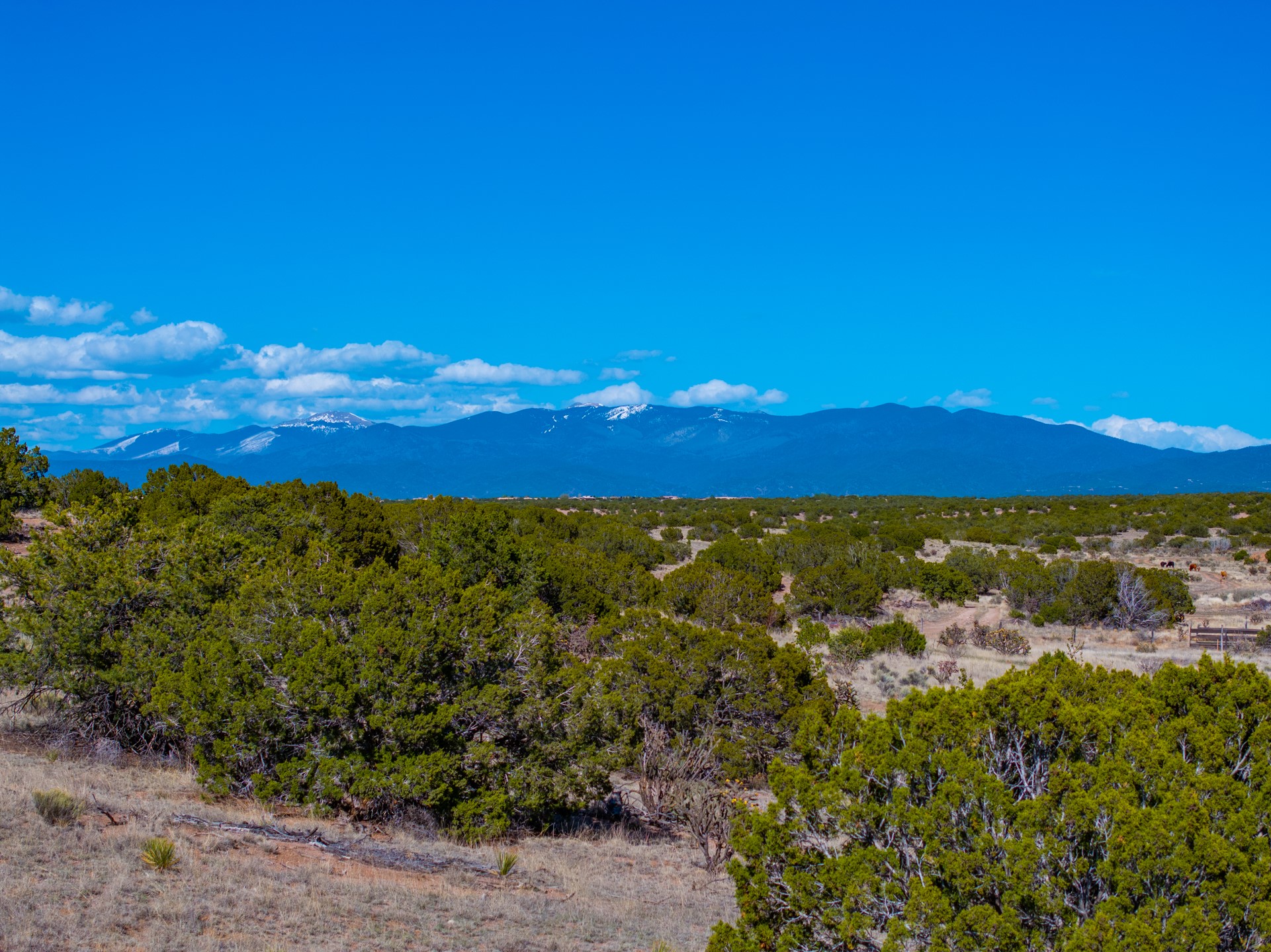 3 Corte Del Rey, Santa Fe, New Mexico image 9