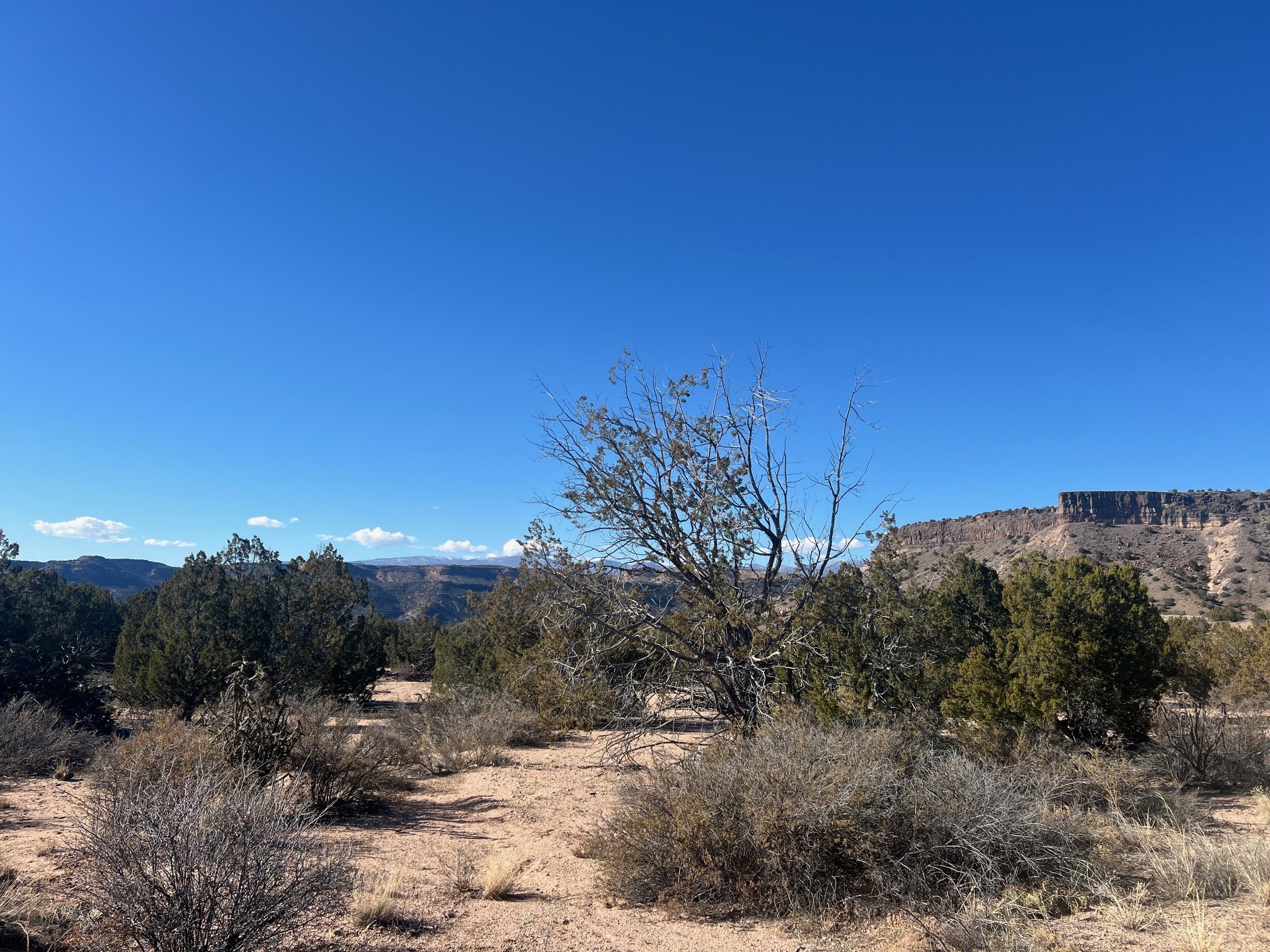 Kalitaya Way, Santa Fe, New Mexico image 7