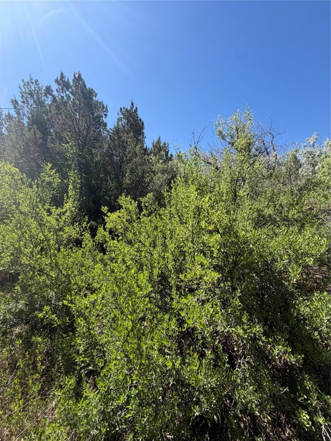Tiny photo for 7 Rancho De Shama #B, Cerrillos, NM 87010 (MLS # 202603087)