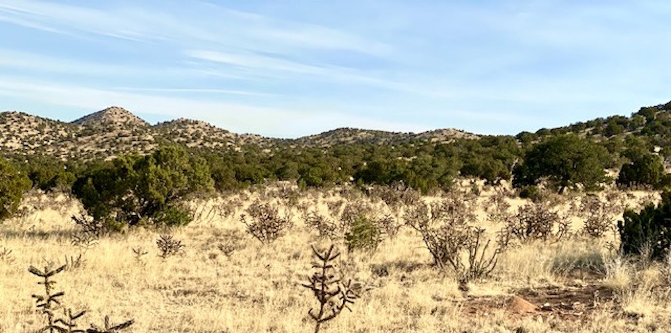 116 Apache Plume Drive Dr, Santa Fe, New Mexico image 11