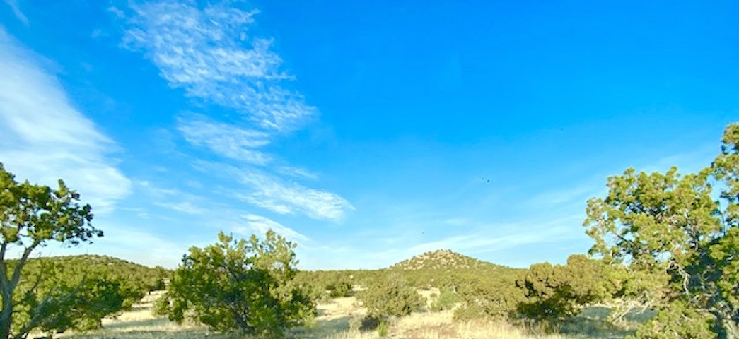 116 Apache Plume Drive Dr, Santa Fe, New Mexico image 8