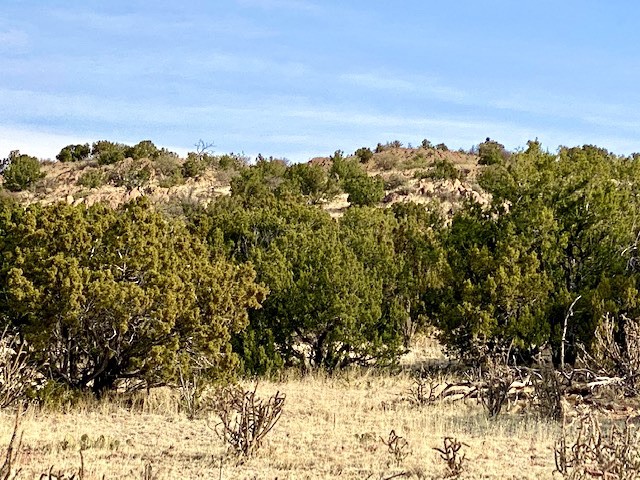 116 Apache Plume Drive Dr, Santa Fe, New Mexico image 15