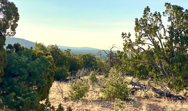 116 Apache Plume Drive Dr, Santa Fe, New Mexico image 9