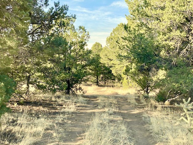 116 Apache Plume Drive Dr, Santa Fe, New Mexico image 10