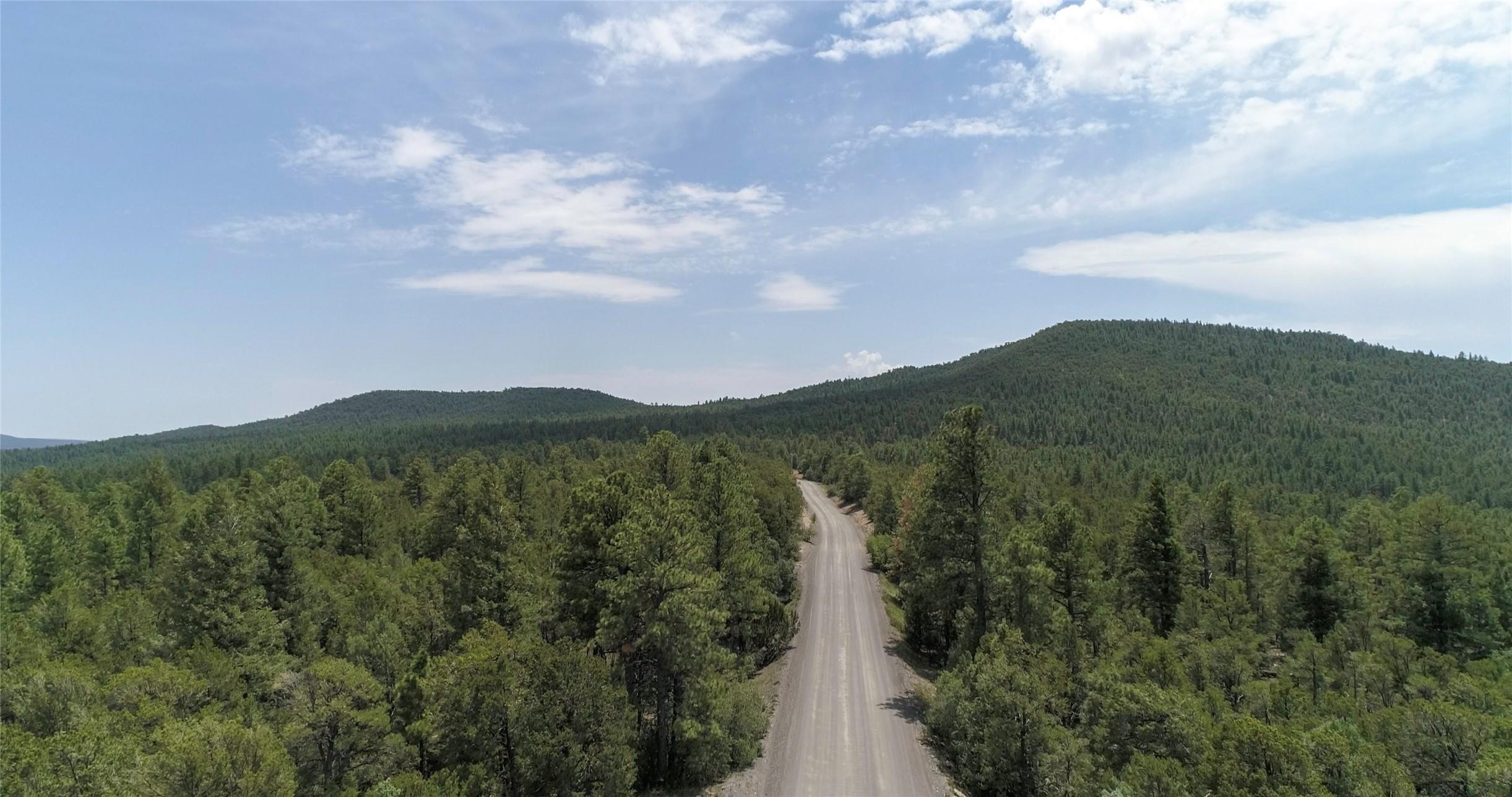 43 Silver Feather Trail, Pecos, New Mexico image 2