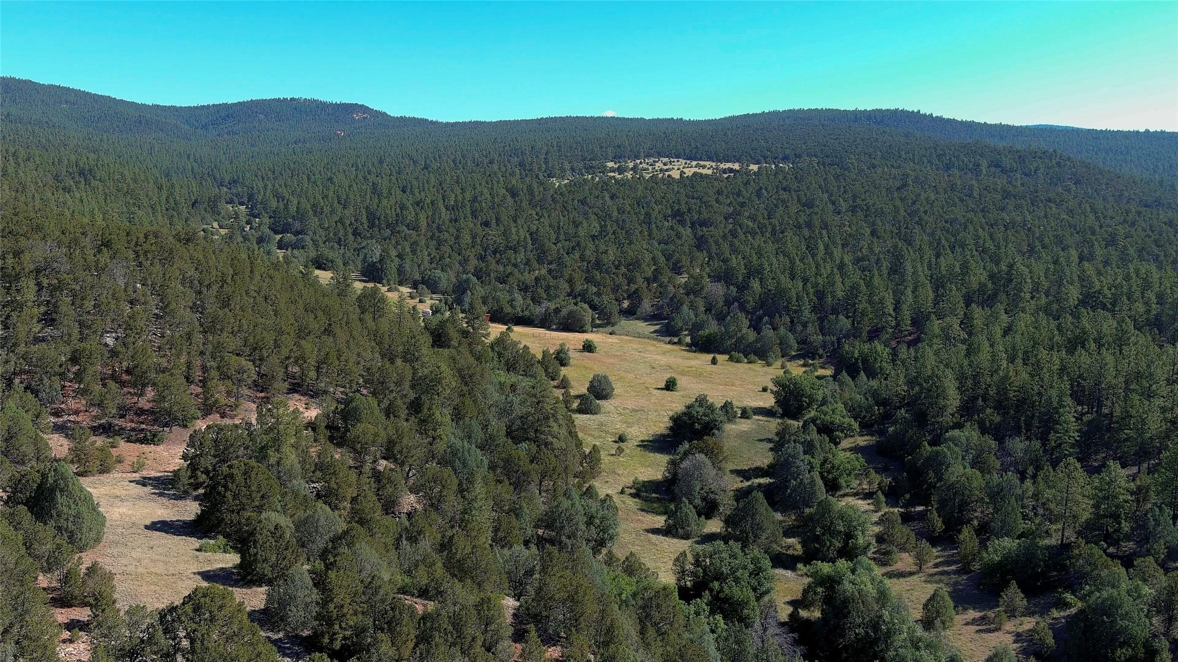 43 Silver Feather Trail, Pecos, New Mexico image 3