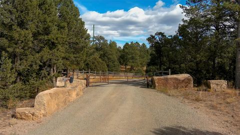 Vacant Land For Sale - 43 Silver Feather Trail<br/> Pecos, NM 87552