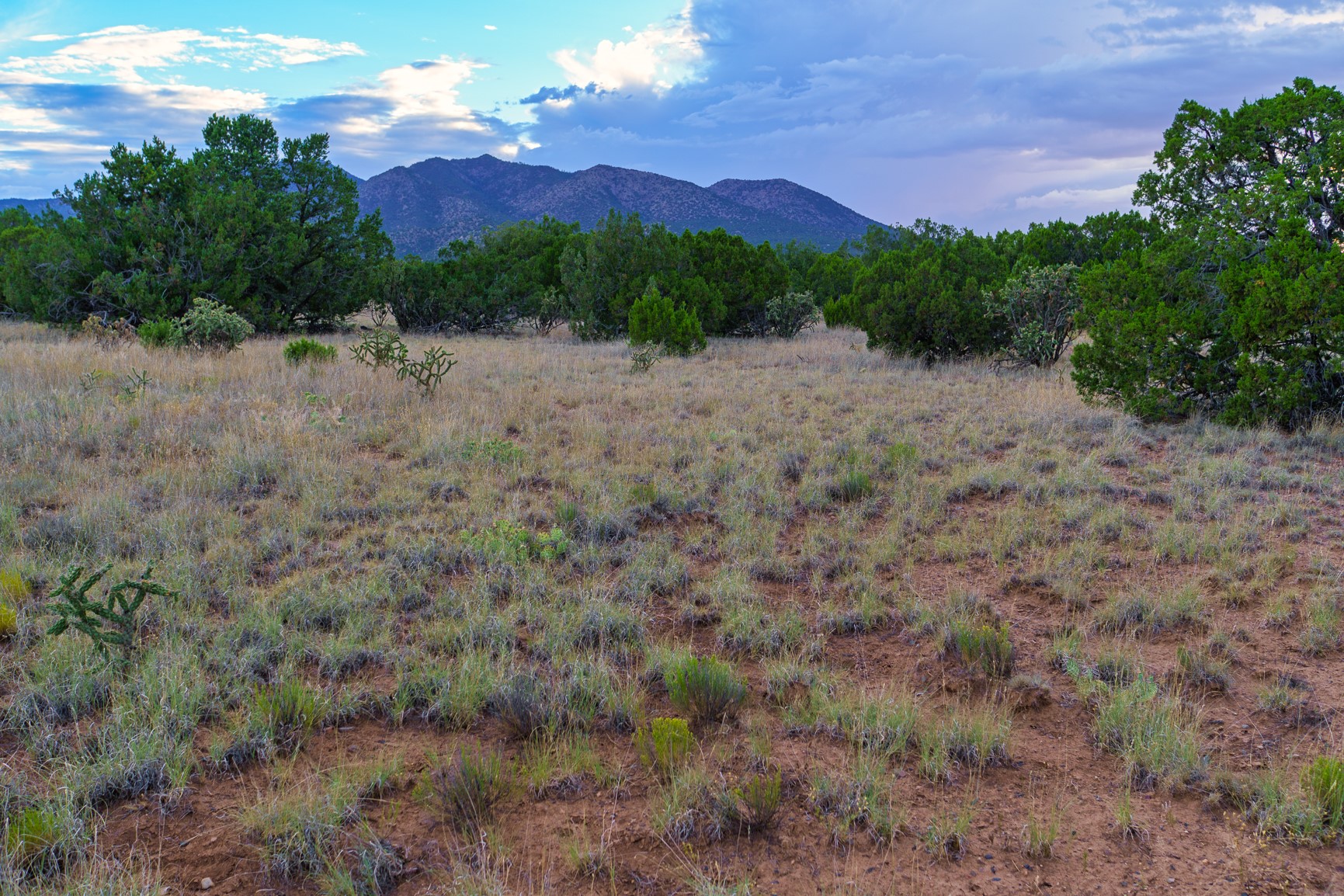 63 Pioneer Way Way, Cerrillos, New Mexico image 3