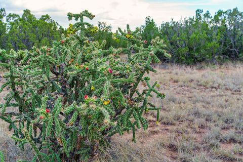 Tiny photo for 63 Pioneer Way Way, Cerrillos, NM 87010 (MLS # 202340219)