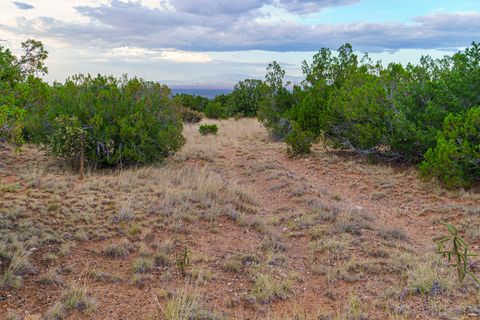 Tiny photo for 63 Pioneer Way Way, Cerrillos, NM 87010 (MLS # 202340219)