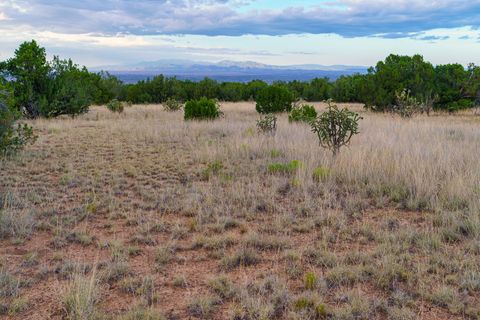 Tiny photo for 63 Pioneer Way Way, Cerrillos, NM 87010 (MLS # 202340219)