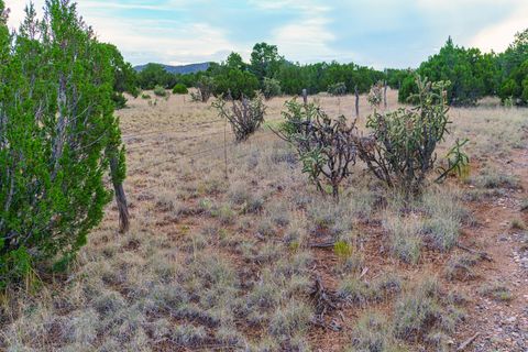 Tiny photo for 63 Pioneer Way Way, Cerrillos, NM 87010 (MLS # 202340219)