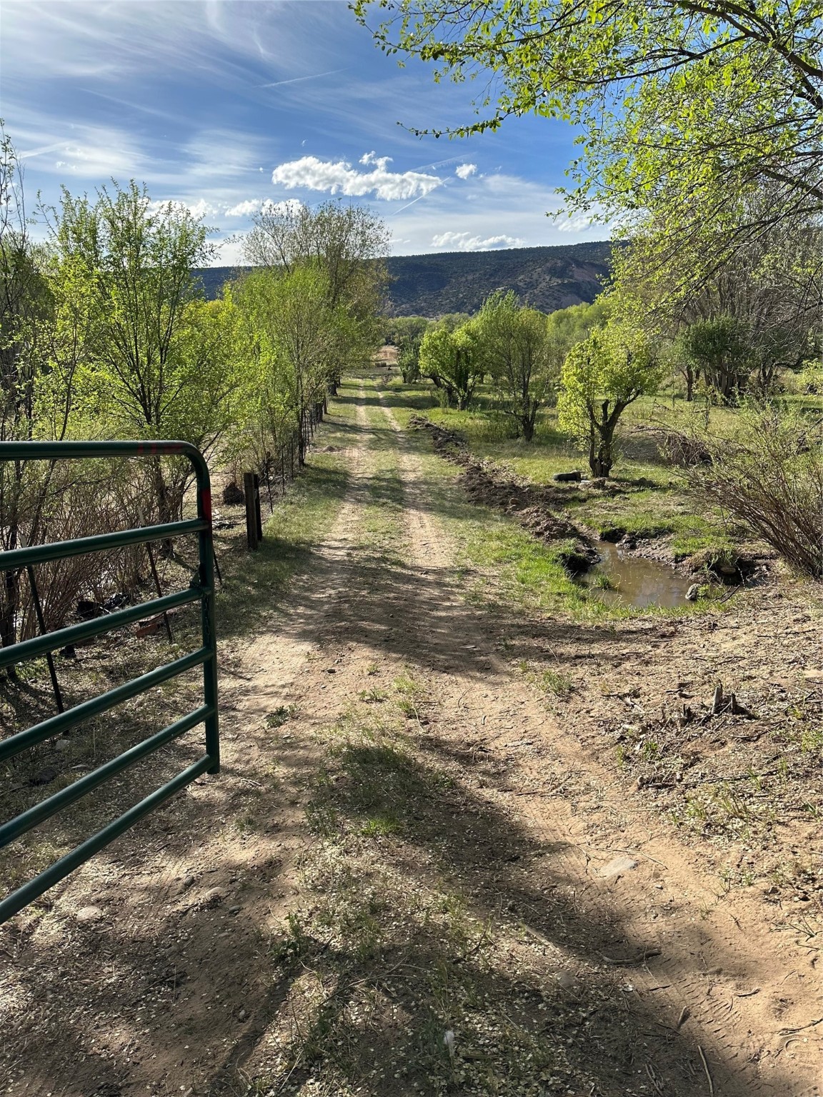 Los Luceros, New Mexico 87511, United States, ,Land,Pending,72377