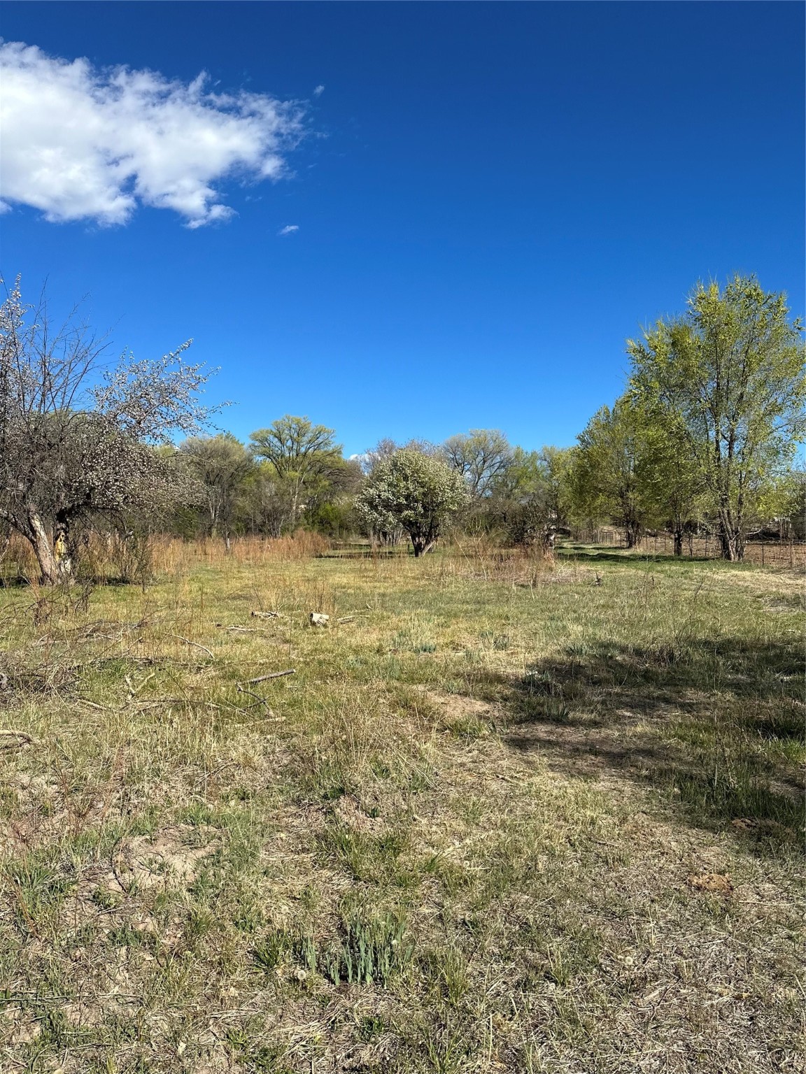 Los Luceros, New Mexico 87511, United States, ,Land,Pending,72377