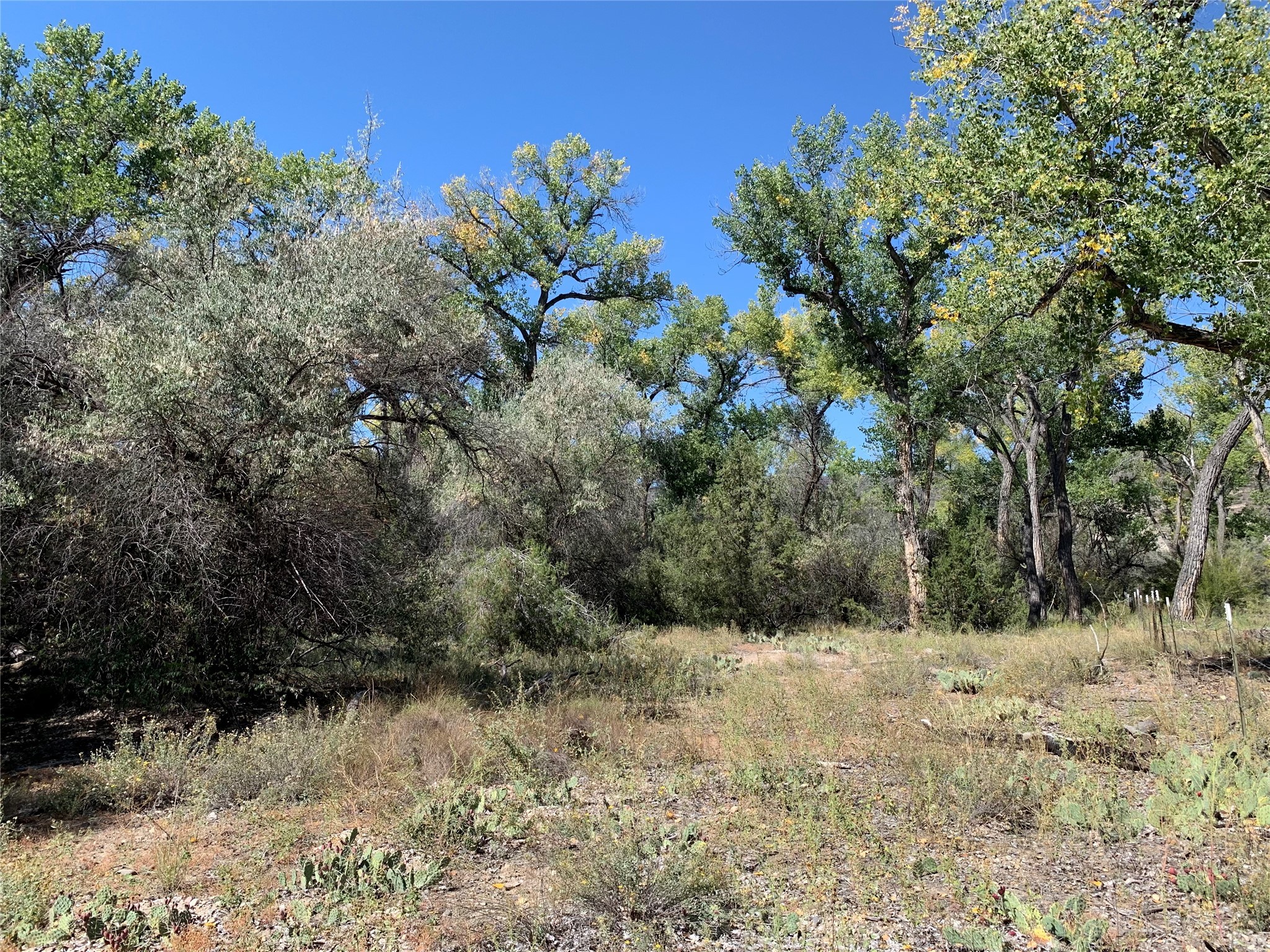 Los Luceros, New Mexico 87511, United States, ,Land,Pending,72377